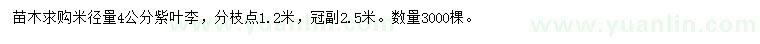 求購米徑量4公分紫葉李