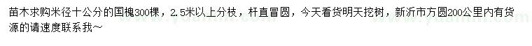 求購米徑10公分國槐