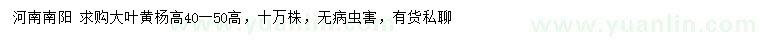 求購(gòu)高40-50公分大葉黃楊