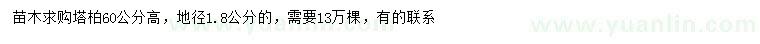 求購地徑1.8公分塔柏