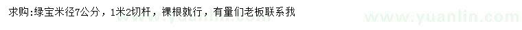 求購米徑7公分綠寶