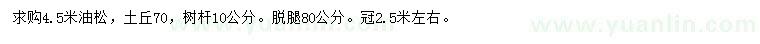求購4.5米油松
