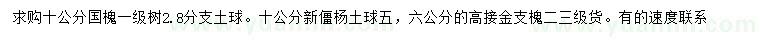 求購國槐、新疆楊、高接金枝槐
