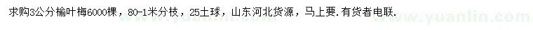 求購3公分榆葉梅