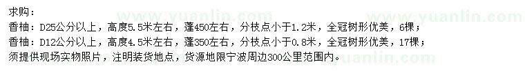 求購地徑12、25公分以上香柚