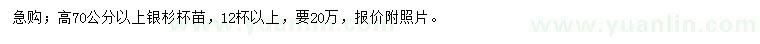求購(gòu)高70公分以上銀杉