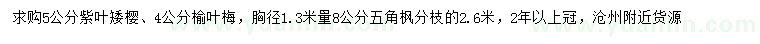 求購紫葉矮櫻、榆葉梅、五角楓