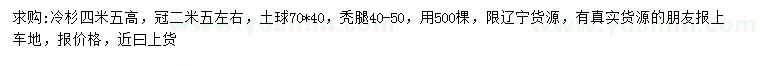 求購高4.5米冷杉