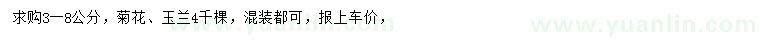 求購3-8公分菊花、玉蘭