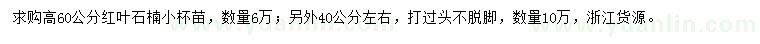 求購高40、60公分紅葉石楠小苗