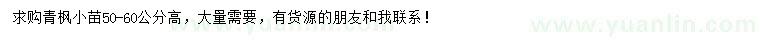 求購高50-60公分青楓小苗