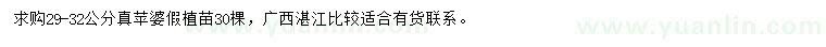求購29-32公分真蘋婆