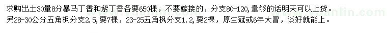 求購暴馬丁香、紫丁香、五角楓