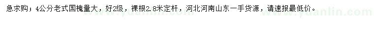 求購4公分老式國槐