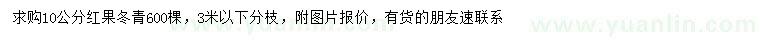 求購10公分紅果冬青