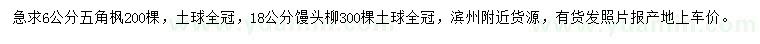 求購(gòu)6公分五角楓、18公分饅頭柳