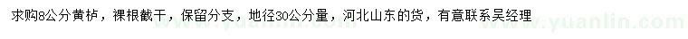 求購地徑30公分量8公分黃櫨