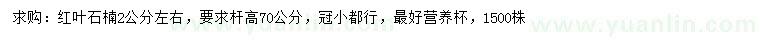 求購(gòu)2公分左右紅葉石楠