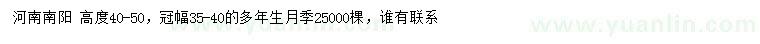 求購高度40-50公分多年生月季