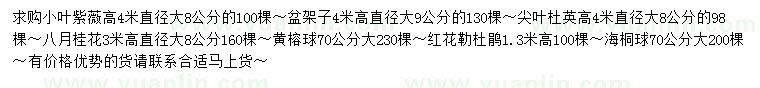 求購小葉紫薇、杜英、八月桂等