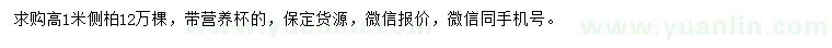 求購高1米側(cè)柏