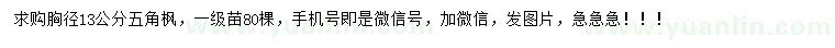 求購胸徑13公分五角楓
