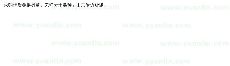 求購桑椹樹苗