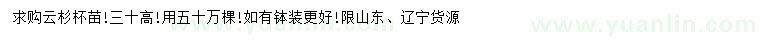 求購高30公分云杉