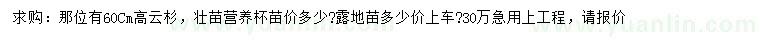 求購(gòu)高60公分云杉