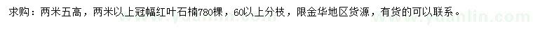 求購高2.5米紅葉石楠