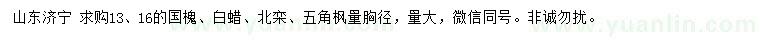 求購(gòu)國(guó)槐、白蠟、北欒等