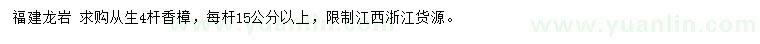 求購4桿從生香樟