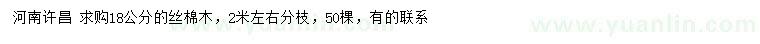 求購18公分絲棉木