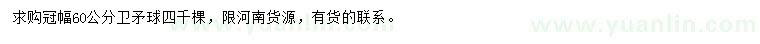 求購冠幅60公分衛(wèi)矛球