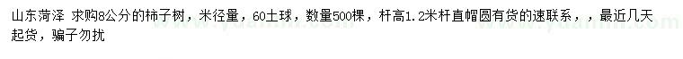 求購米徑量8公分柿子樹