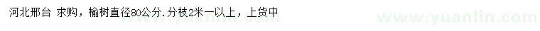 求購直徑80公分榆樹