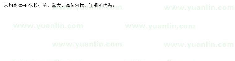 求購(gòu)高30-40公分水杉苗