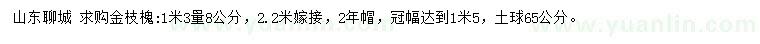 求購1.3米量8公分金枝槐
