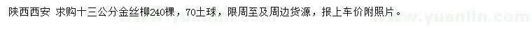 求購13公分金絲柳