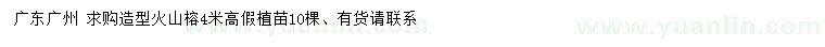 求購(gòu)高4米造型火山榕