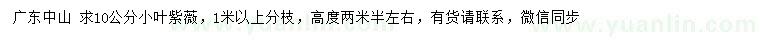 求購(gòu)10公分小葉紫薇