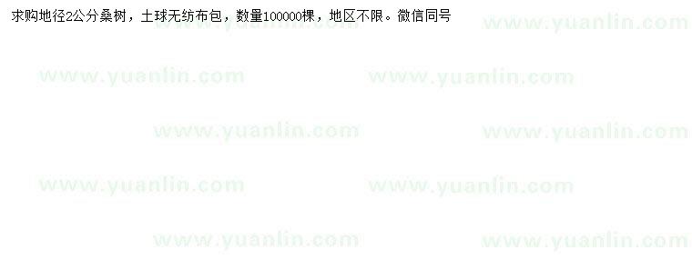 求購地徑2公分桑樹