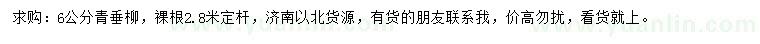 求購6公分青垂柳