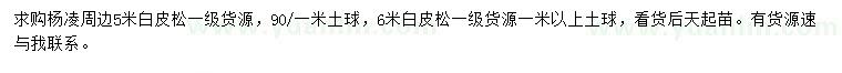求購5、6米白皮松