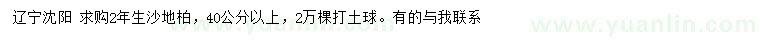 求購40公分以上沙地柏