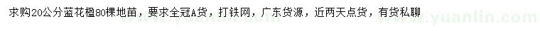求購20公分藍花楹