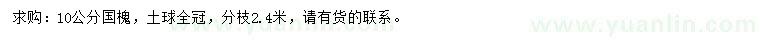 求購10公分國槐