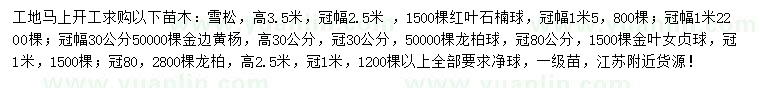 求購雪松、紅葉石楠球、金邊黃楊等