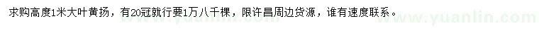 求購高度1米大葉黃揚