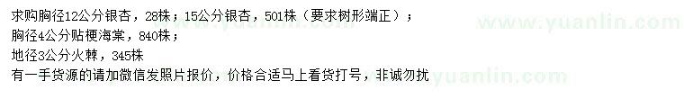 求購銀杏、貼梗海棠、火棘